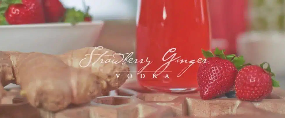 Elaboración de licor de fresa y jengibre macerado con base de alcohol etílico de grado alimentario para un sabor aromático.